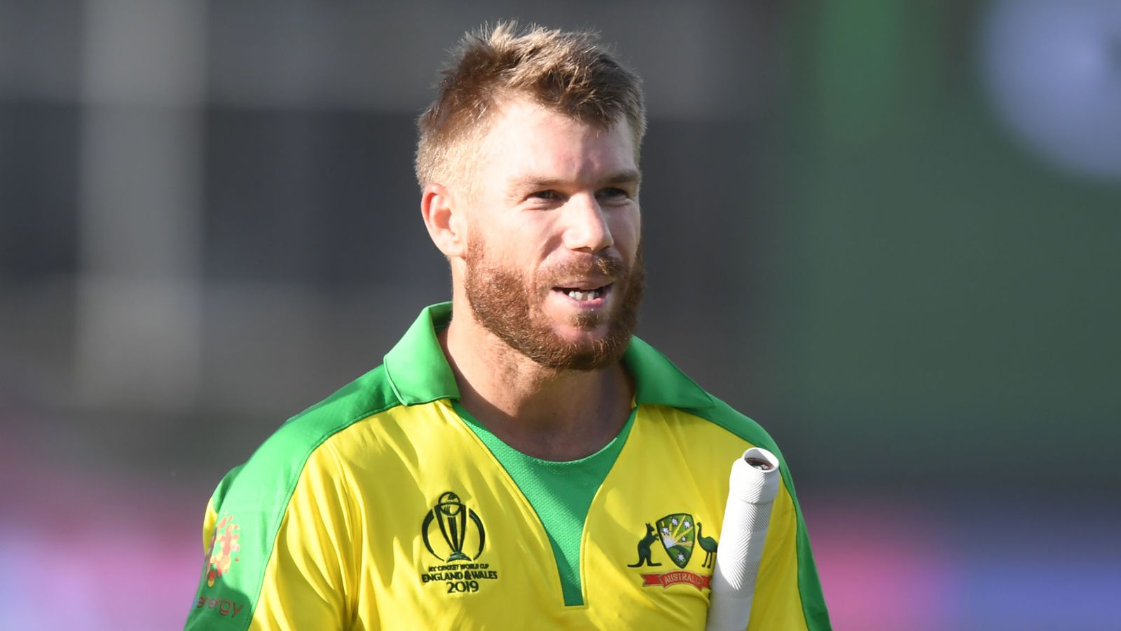 David Warner Height, Age, Wife, Family, Biography & More