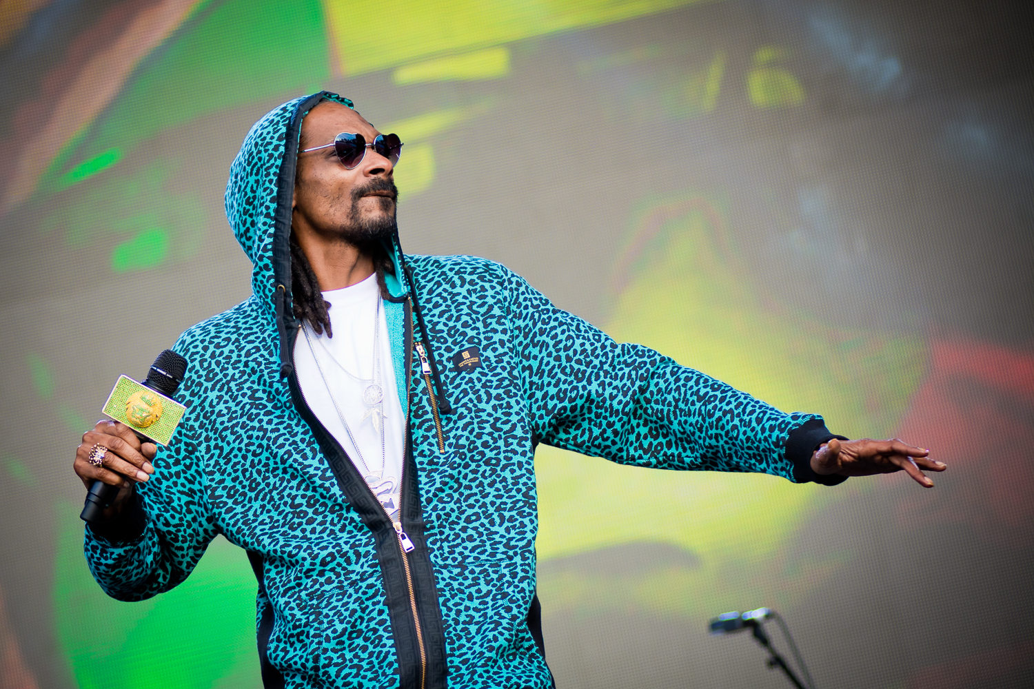 Snoop Dogg's Net Worth Speaks Of His Luxurious Life
